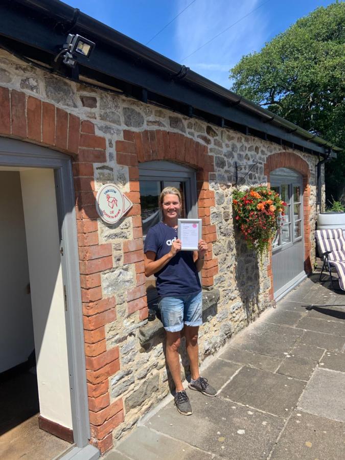 Swallow Cottage At Duffryn Mawr Cottages هينسول المظهر الخارجي الصورة